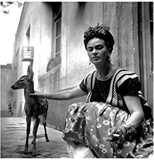Recensioni di frida quadri