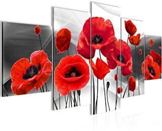 Recensioni di papaveri quadro