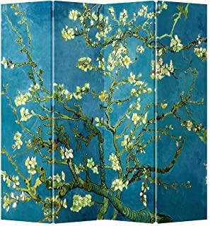 Recensioni di paravento economico