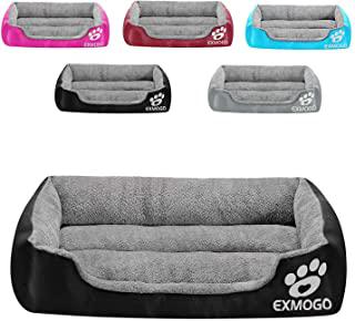 Recensioni di poltrona per cani