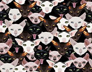 Recensioni di quadri con gatti stilizzati