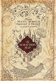 Recensioni di quadri harry potter
