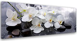 Recensioni di quadri orchidee