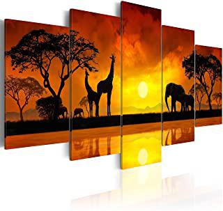 Recensioni di quadro africa