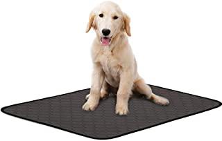 Recensioni di quadro con cane