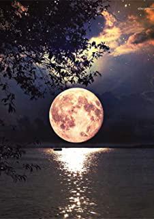 Recensioni di quadro luna