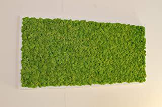 Recensioni di quadro verde stabilizzato