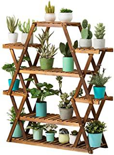 Recensioni di scaffale per piante