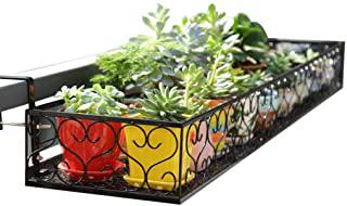 Recensioni di scaffali per piante grasse