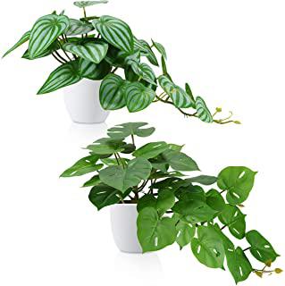 Recensioni di scrivania verde