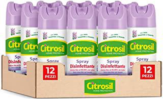 Recensioni di spray disinfettante per armadi
