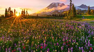 Recensioni di stampe quadri