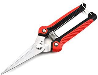 Recensioni di tavolino per bonsai