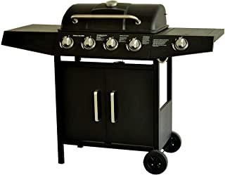 Recensioni di barbecue a gas e pietra lavica