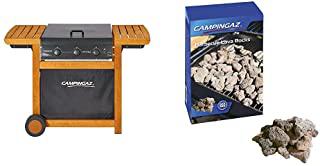 Recensioni di barbecue dual gas