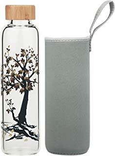 Recensioni di borraccia in vetro