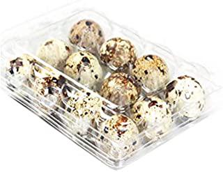 Recensioni di contenitori plastica per uova
