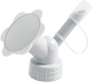 Recensioni di fiori con bottiglie di plastica per bambini