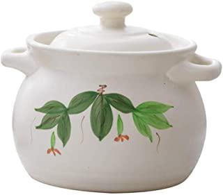 Recensioni di pentola di terracotta crepata