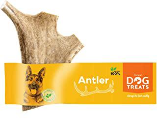 Recensioni di piatti spagnoli