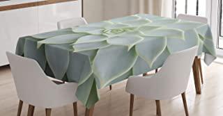 Recensioni di tovaglia cactus