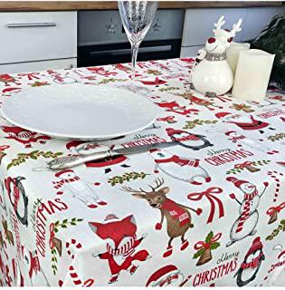 Recensioni di tovaglietta per babbo natale