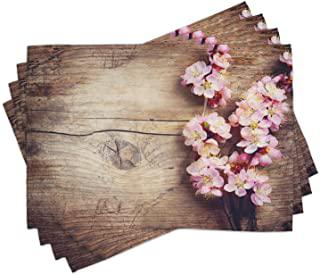 Recensioni di tovagliette americane shabby