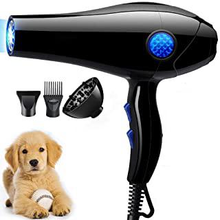 Recensioni di asciugatrice cani