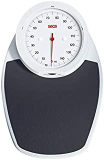Recensioni di bilancia meccanica professionale