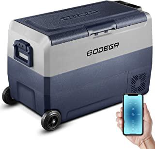 Recensioni di frigorifero per auto professionale