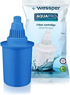 Recensioni di ionizzatori acqua