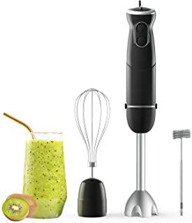 Recensioni di mixer a immersione