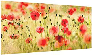 Recensioni di paraschizzi piano cottura