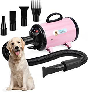 Recensioni di phon per cani