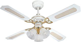 Recensioni di ventilatore soffitto