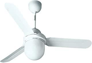 Recensioni di ventilatore vortice da soffitto con luce schem