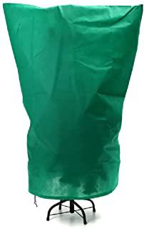 Recensioni di alberi da giardino con fiori