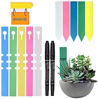 Recensioni di alberi da giardino