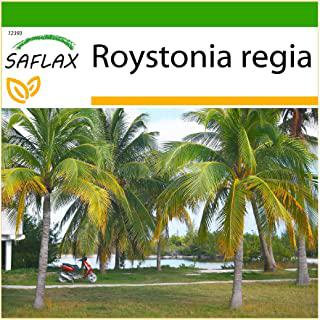 Recensioni di alberi ornamentali da giardino