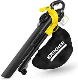 Recensioni di aspiratore per giardino