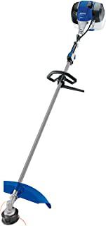 Recensioni di blue bird decespugliatore