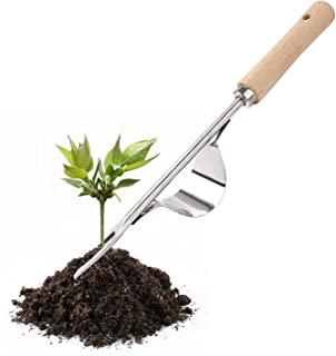 Recensioni di diserbante per edera e rovi