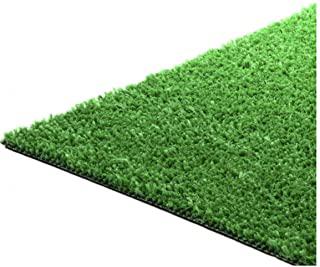 Recensioni di erba sintetica giardino