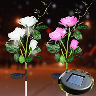 Recensioni di fiori giardino