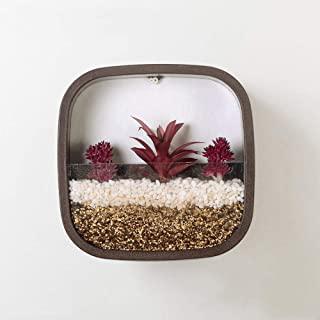 Recensioni di fioriera parete