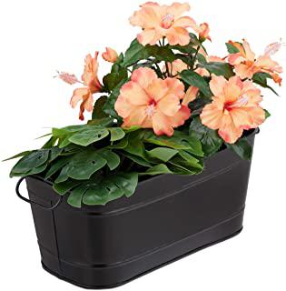 Recensioni di fioriera per erbe aromatiche