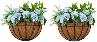 Recensioni di fioriera sospesa