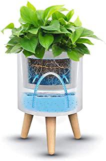 Recensioni di fioriere da esterno alte