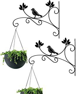 Recensioni di fioriere economiche