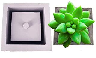 Recensioni di fioriere in calcestruzzo